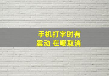 手机打字时有震动 在哪取消